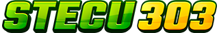 Stecu303
